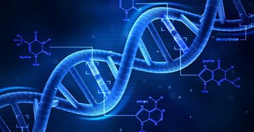 В человеческой ДНК обнаружили неизвестные науке организмы