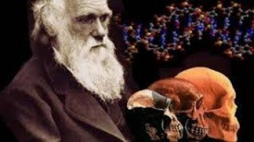 Опровергнута эволюционная гипотеза Дарвина