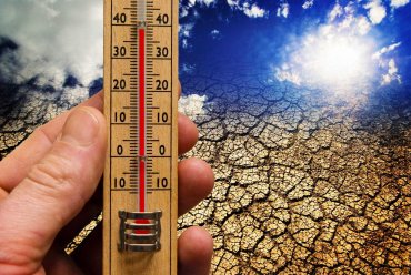 К 2080 году количество смертей от жары увеличится в несколько раз – ученые