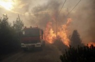 Греческий министр ушел в отставку из-за лесных пожаров