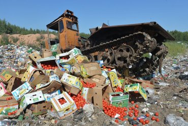За три года в России уничтожили 26 млн кило санкционных продуктов