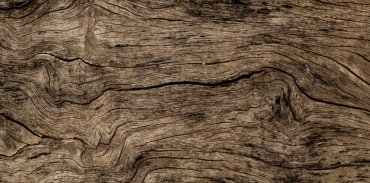 Ученые создали древесину с повышенной устойчивостью к огню и кислоте