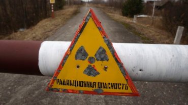 В России объявили крабов виновными в утечке радиации в Архангельске