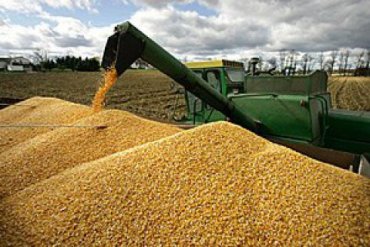 Минэкономики ухудшило прогноз урожая зерна из-за засухи