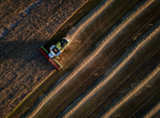 Російські атаки, європейський протекціонізм та посуха ставлять під загрозу життєво важливе постачання українського зерна — Politico.