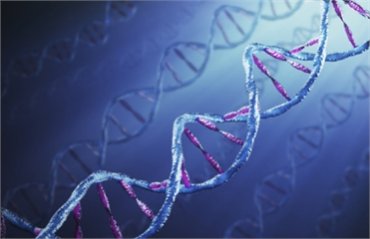 Ученые составили самую полную карту ДНК человека