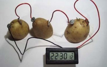 Израильский учёный добыл электричество из обычной картошки
