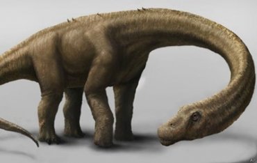 Ученые показали кости гигантского динозавра
