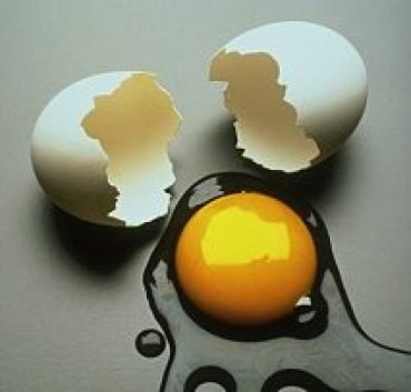 В Японии начато производство яиц с белыми желтками