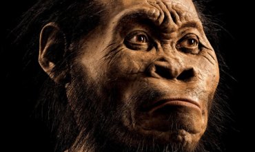 В Южной Африке обнаружен неизвестный ранее вид человека