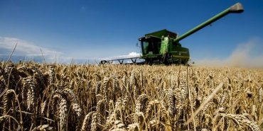 Иран готов инвестировать в украинский агропромышленный комплекс