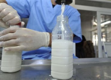 В Китай из Украины потекут молочные реки