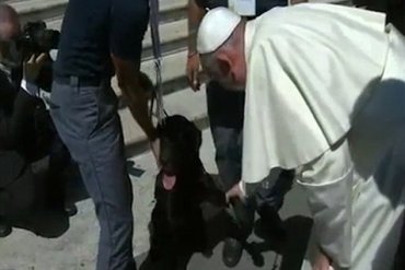 Папа Римский встретился с собакой