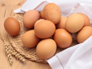 Экспорт яиц принес Украине $30 млн