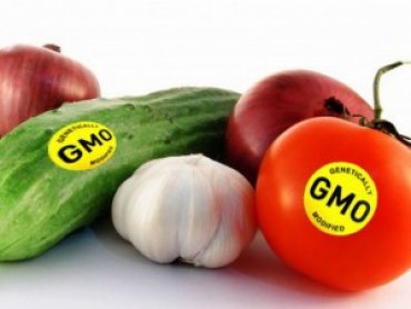 Биоинженеры упростили превращение злаков в ГМО