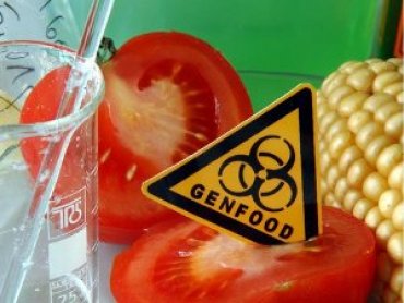 Учёные рассказали, как ГМО-культуры влияют на экологию