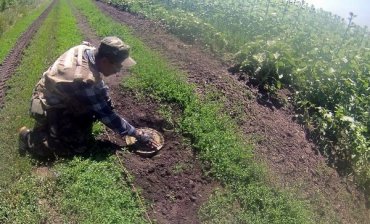 На Донбассе местные жители минируют свои погреба от боевиков