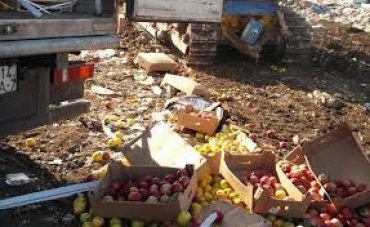 ФСБ провела спецоперацию по уничтожению свежих яблок