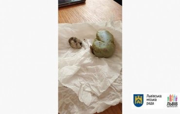 Во львовской школе ученик попал камнем в польского дипломата