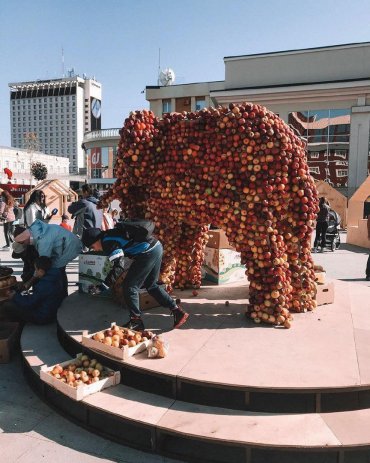 Ставропольцы растащили яблоки со скульптуры слона, установленной ко Дню города
