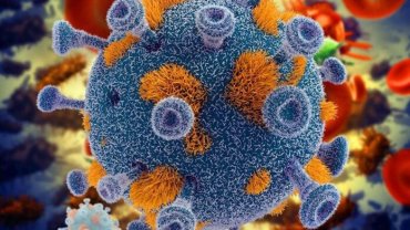 В клетках человека нашли выключатель вируса ВИЧ
