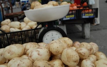 Кабмин планирует запретить импорт картошки из России