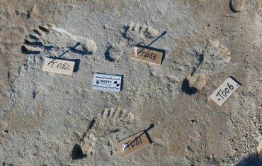 В США нашли следы человека, которым более 20 тысяч лет