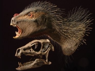 У нового вида динозавров оказались большие клыки