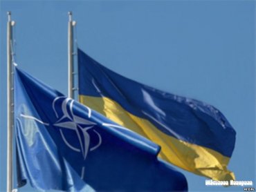 НАТО в восторге от Украины