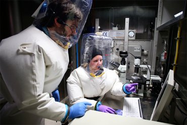 Ученые предупреждают, что лихорадка Эбола скоро распространится по Европе