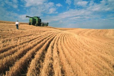 Россия признала, что не в силах тягаться с Украиной в аграрном секторе