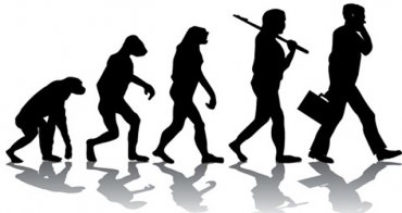 Папа Франциск согласился с теорией эволюции Дарвина