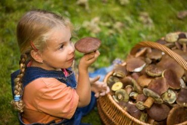 В Крыму запретят собирать более 5 кг грибов и ягод