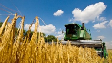 Украина кормит сельхозпродукцией почти весь мир