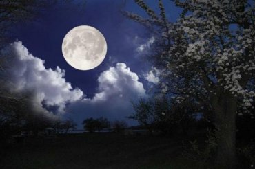 Австралийские ученые выяснили удивительный факт о Луне
