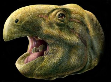 Во Франции открыли новый вид динозавров