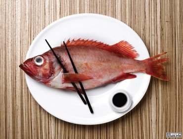 Японская префектура будет загрязнять море, чтобы увеличить улов рыбы