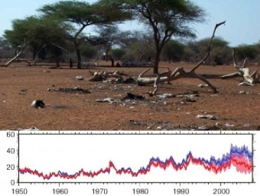 Климатологи переоценили глобальный рост засух