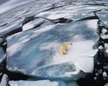 Ученые считают, что в 2020 году в Арктике не будет льда