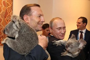 На саммите G20 Путин обнимался с коалой
