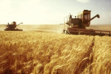 Снизился экспорт зерна из Украины