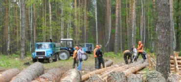 Латвия поможет Украине реформировать лесное хозяйство