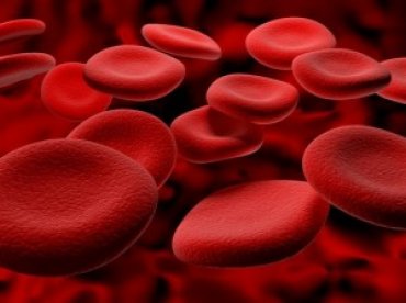 Канадские учёные научились менять группу крови