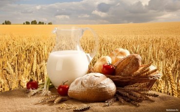 В 2016 году Украина столкнется с дефицитом молока, — эксперт