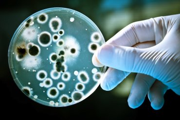 В космосе обнаружены супербактерии, способные погубить все живое на Земле