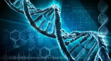 Ученые выяснили пользу мутации генов