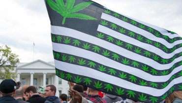 8 ноября в девяти штатах США проголосуют также за легализацию марихуаны