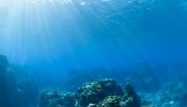 Океанологи назвали возраст самой старой воды в океане