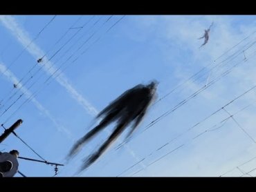 Фотограф случайно заснял летающего гуманоида