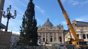 В Ватикане установили 21-метровую рождественскую елку